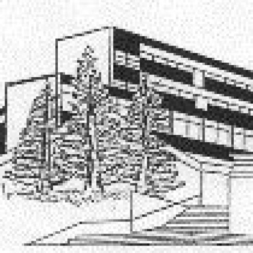 Ehemalige Schüler*Innen des Megina-Gymnasiums Mayen