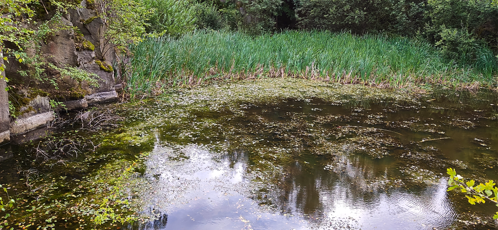 Der 'Silbersee' im September